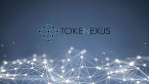 Guía y opinión de Tokenexus para usuarios